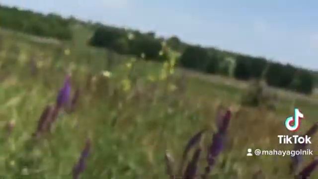 #степь#природа Природа степей Украины смотреть онлайн
