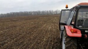 Посев семян экспарцета