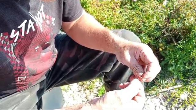 Рыбалка в Орловской губернии смотреть онлайн