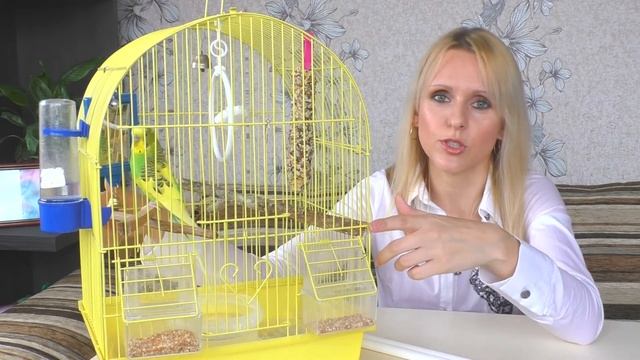 КЛЕТКА ДЛЯ ПОПУГАЯ/Выбираем КЛЕТКУ для ПОПУГАЯ ПРАВИЛЬНО/Как ВЫБРАТЬ КЛЕТКУ для ПОПУГАЯ смотреть онлайн