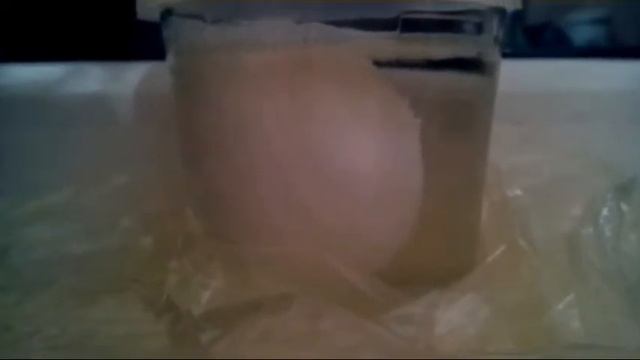 Опыт " Яйцо в уксусе " смотреть онлайн