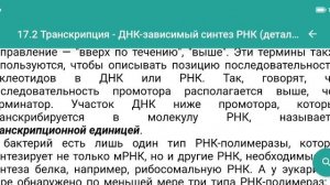 Стадии транскрипции: инициация, элонгация, терминация для ЕГЭ по биологии