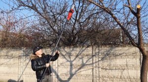 Электропила садовая с телескопической ручкой Einhell GC-EC 750W