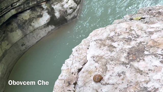 SNAIL IN PSAKHO CANYON | УЛИТКА В КАНЬОНЕ ПСАХО смотреть онлайн