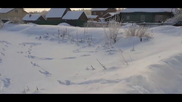 Гуляем на деревне, встречаем соседей любуемся красотами заснеженной, морозной деревни. смотреть онлайн