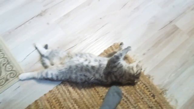 Как я люблю спать смотреть онлайн