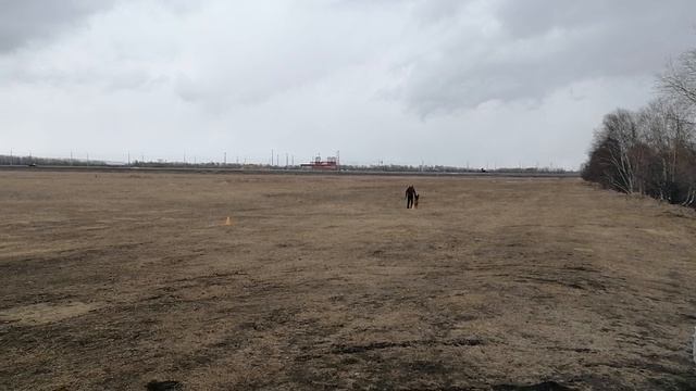 3.  выражено/перв OSTEN STERN BECKHAM (Asso Di Casa Nobili – Osten Stern Yulayya)