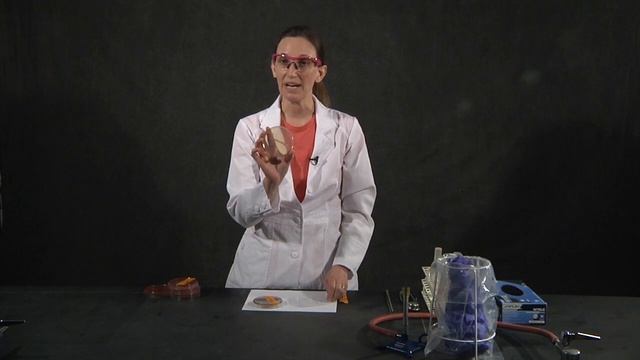 Unknown Organism ID 03 Bile Tolerance Biochemical Tests смотреть онлайн