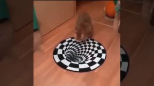 Реакция животных на 3d рисунок