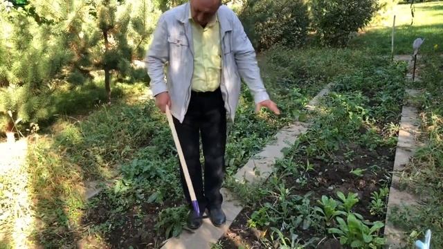 Удаление сорняков Широкоуниверсальная тяпка Турчанка смотреть онлайн