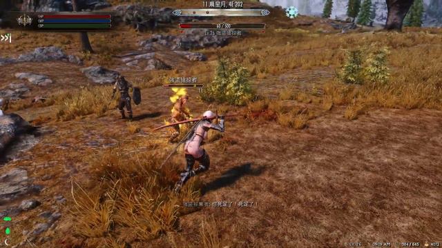 Skyrim SSE Follower Vicar Amelia Combat test 2 смотреть онлайн