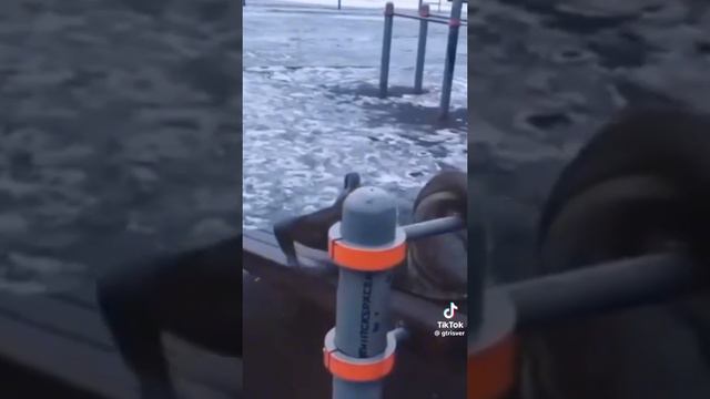 9d935af9db9880fe0cab89cdb07d931c.mp4 смотреть онлайн