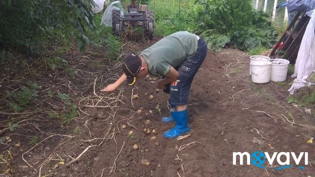 Открытие сезона 2018. племяшка помогает капать картошку. смотреть онлайн