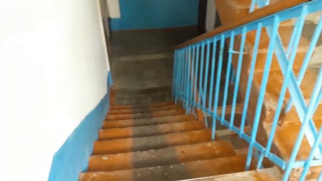 Уборка в подъезде под наблюдением кошек. Где хозяйка там и кошки. смотреть онлайн