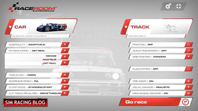 Logitech G27 - RaceRoom Experience Settings