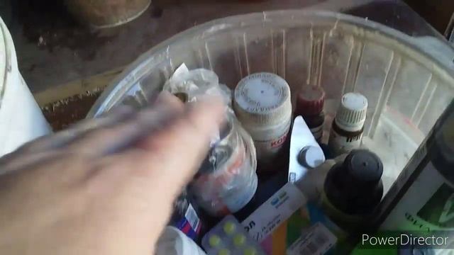 Курятники// Куда Девать Яйца?//Моя Ветаптечка//Морозное Утро в Краснодаре.