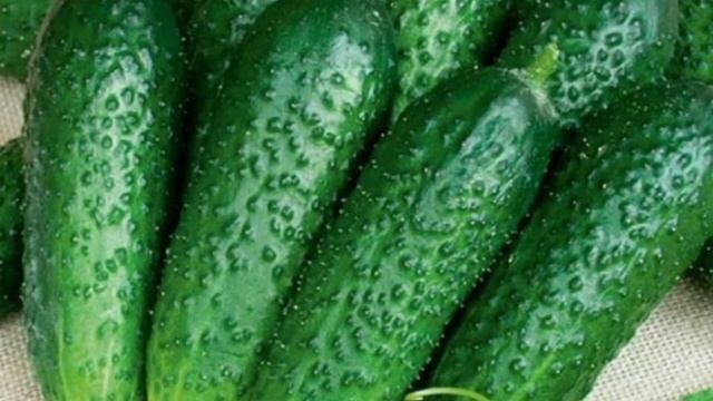 Лучшие сорта огурцов 2022 г. смотреть онлайн