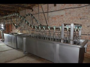 Демидовкие гуси. Цех по убою гусей