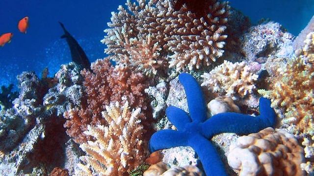 Эти потрясающие ФИЛИППИНЫ !Интересные факты #ТОП20