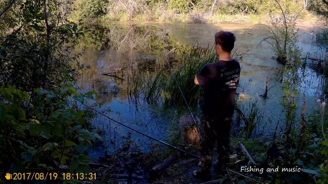 Забытое лесное озеро. Разведка. смотреть онлайн