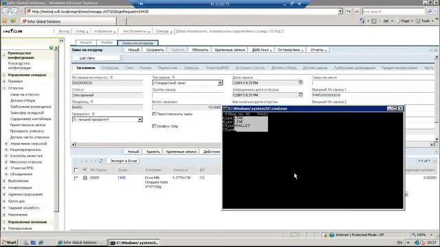 Отгрузка в WMS Инфор 9.3 / Shipping to WMS Infor 9.3 смотреть онлайн