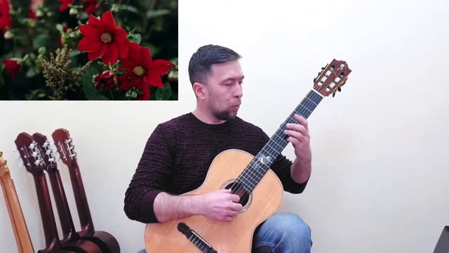 Роман Киселев - Вальс "Осенние цветы" смотреть онлайн