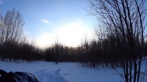 Тайга с двигателем Буран поломка в лесу.