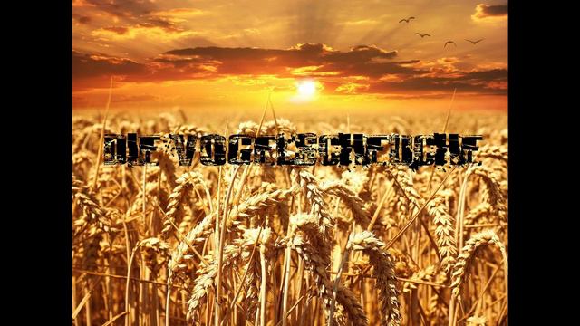 #6 Die Vogelscheuche - German Creepypasta / Horrorfilmraten / Creepypasta Deutsch / Paranormal смотреть онлайн