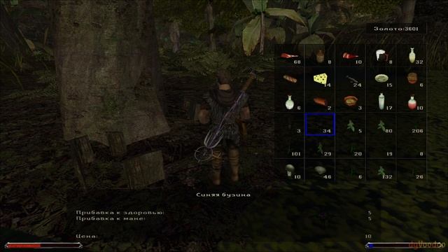 БАНДИТЫ ВОРОНА | Готика 2: Ночь Ворона | Gothic 2: Night of the Raven #64 смотреть онлайн