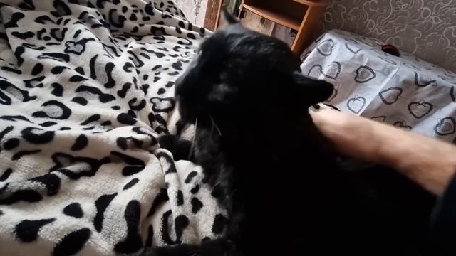 Вторые сутки без света и воды смотреть онлайн