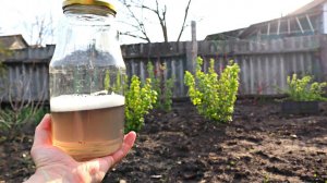 Я шла к этому несколько лет, пока не открыла для себя данное средство. Обработать с появлением листа