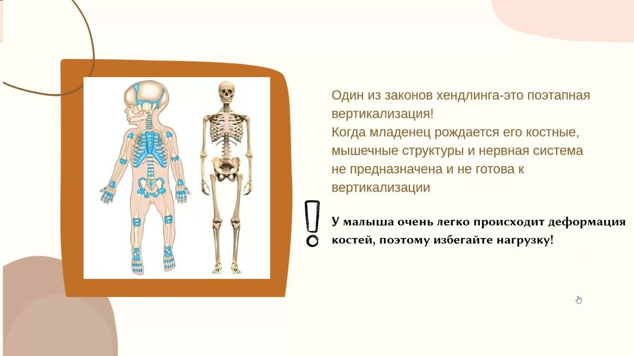 "Хэндлинг", вебинар для будущих родителей смотреть онлайн