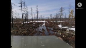 Вездеход на раме от уаза 469 с двигателем лифан, весна 2021г