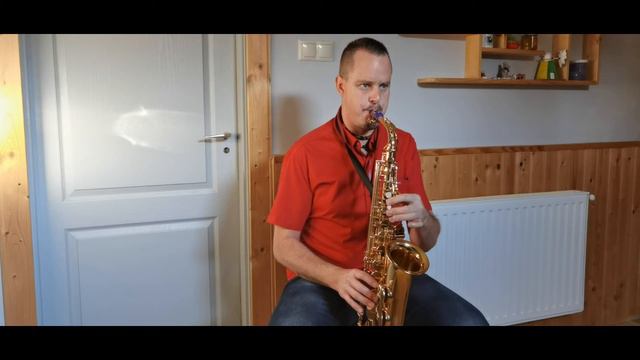 Michael Learns to Rock - 25 Minutes (Alto Sax) смотреть онлайн