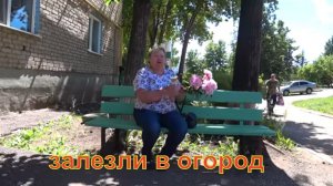 Жду родителей/Клубника на зиму/Разбор кухонных шкафов