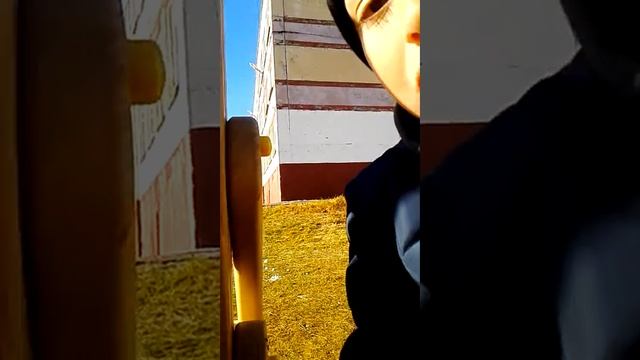 Крахмалавая житкаст смотреть онлайн