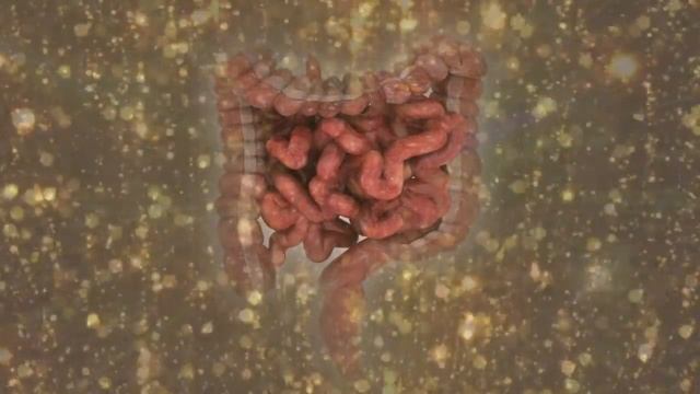 Очищение Кишечника, Медитация смотреть онлайн