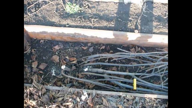 укрытие нжира на зиму смотреть онлайн