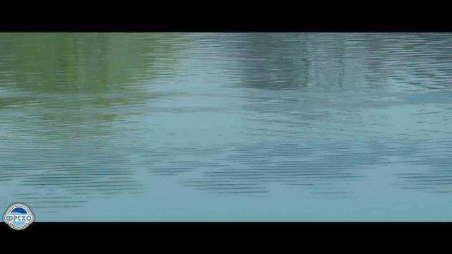 Ловля щуки, судака и сома. Терновая 2019 смотреть онлайн