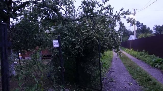Problems At Our Dacha / Different Russia