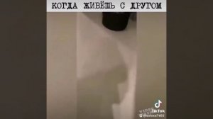 Моя готовит