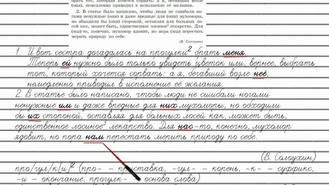 Упражнение №113 — Гдз по русскому языку 5 класс (Ладыженская) 2019 часть 1 смотреть онлайн