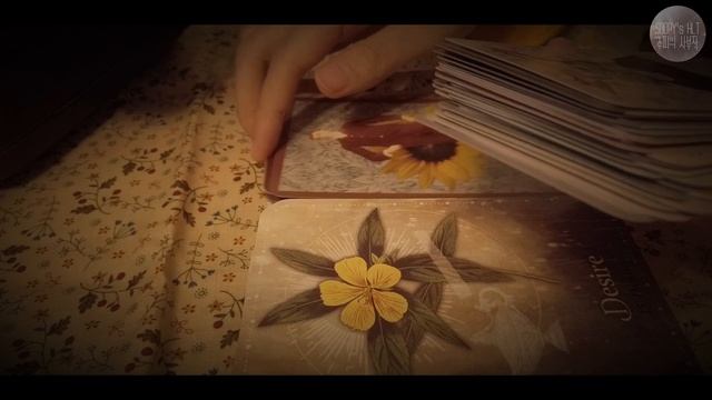 ASMR My Spring Tarot/Oracle Decks - Flip Through + Shuffling sounds смотреть онлайн
