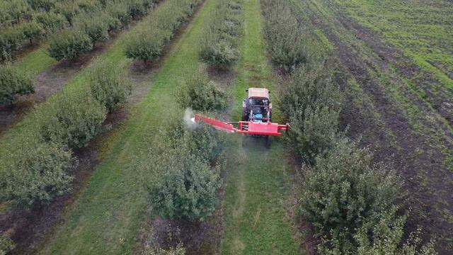 Обрезчик деревьев Секира-4И, работа в сливовом саду. смотреть онлайн
