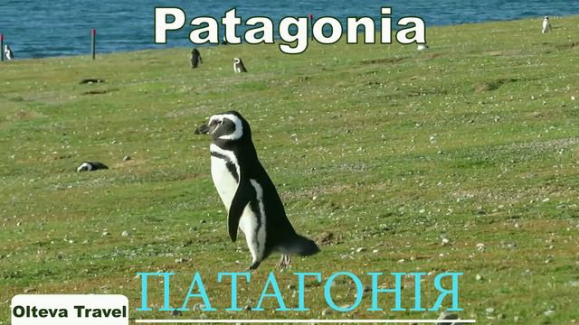 Рatagonia / Патагонія смотреть онлайн