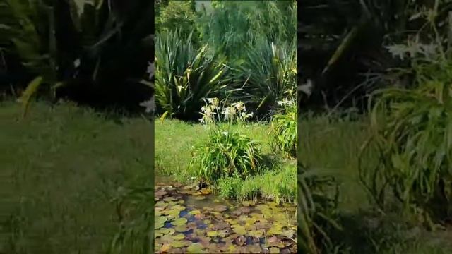 ЛЕТО 2023 ПУТЕШЕСТВИЯ ПО АБХАЗИИ ОТДЫХ В АБХАЗИИ ДОСТОПРИМЕЧАТЕЛЬНОСТИ ЭКСКУРСИИ ТРАНСФЕР смотреть онлайн