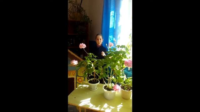 Страна читающая — Дарья Смирнова читает произведение «У Лукоморья дуб зеленый» А. С. Пушкина смотреть онлайн