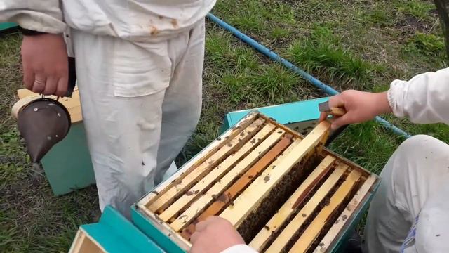 Тихая смена матки смотреть онлайн
