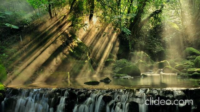 Very beautiful, soulful, soothing music that you want to listen to all the time. смотреть онлайн