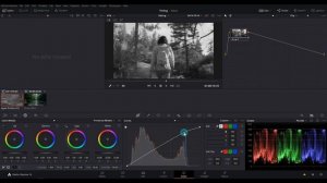 How to make a clip black and white in DaVinci Resolve [CUSTOM COLOR GRADE]